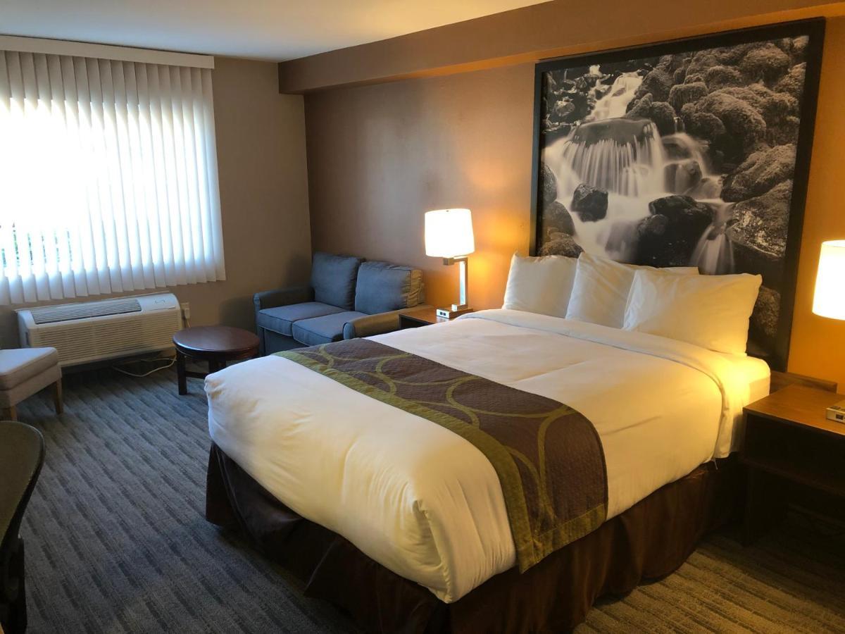 Super 8 By Wyndham Lynnwood Motel Eksteriør billede