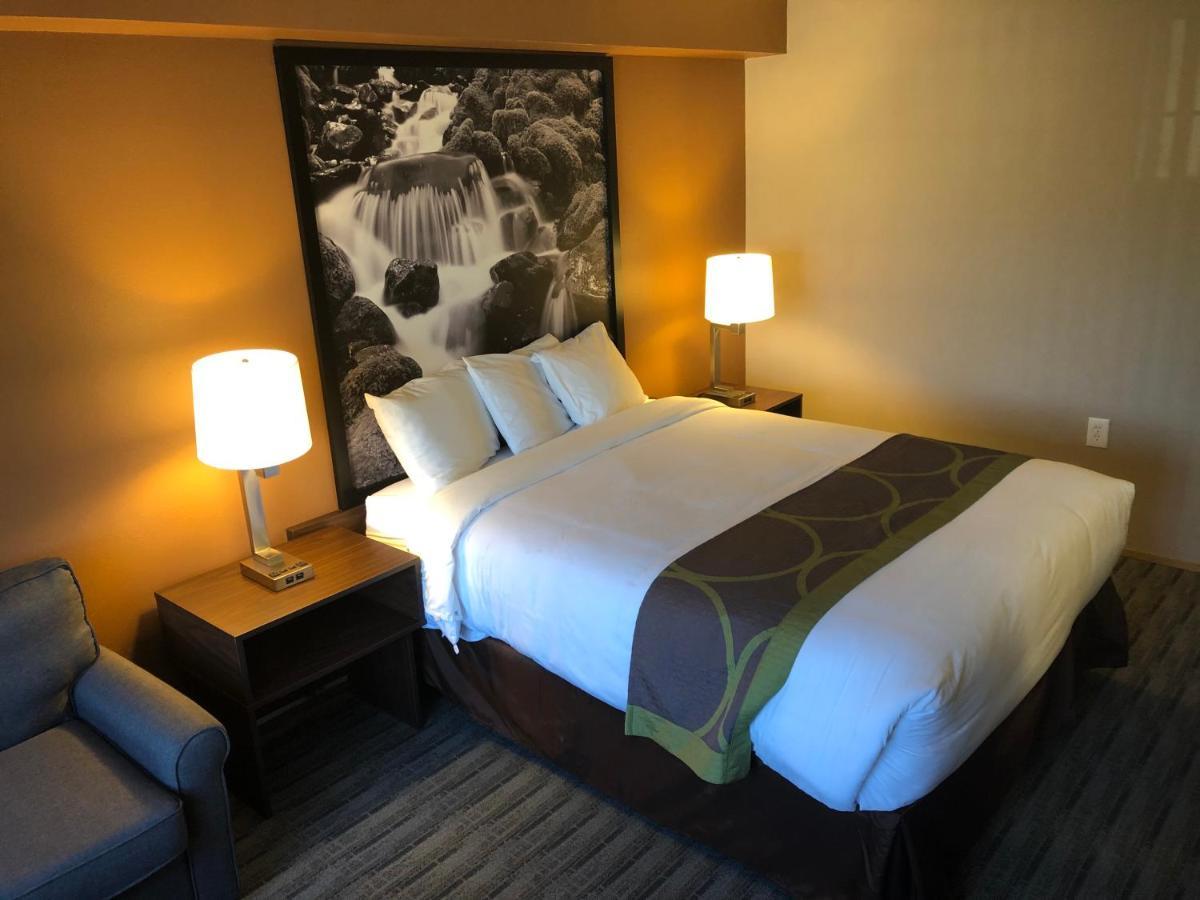 Super 8 By Wyndham Lynnwood Motel Eksteriør billede