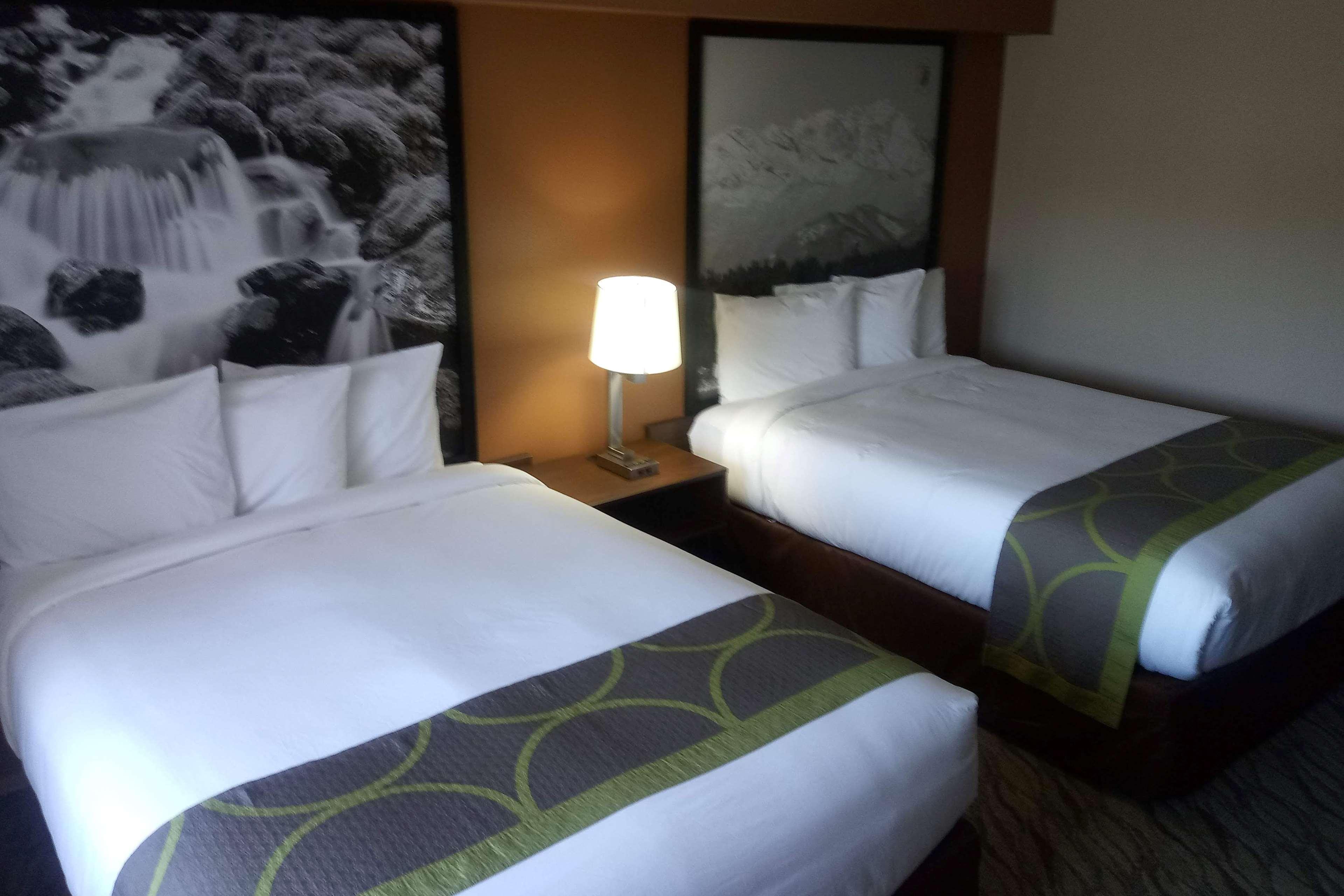 Super 8 By Wyndham Lynnwood Motel Eksteriør billede
